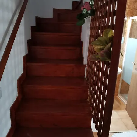 Luxury Sao Jose In Center 102 Apartament *
